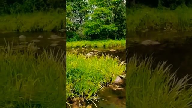 А.Розенбаум. Уже прошло лет 30 после детства смотреть онлайн