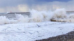 Опять в Сочи бушует море и смывает пляжи.