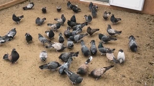 +7(910)251-02-38 Невообразимая красота в продаже с сегодняшнего дня смотреть онлайн