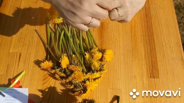 Мастер-класс "Плетение венков из одуванчиков" смотреть онлайн