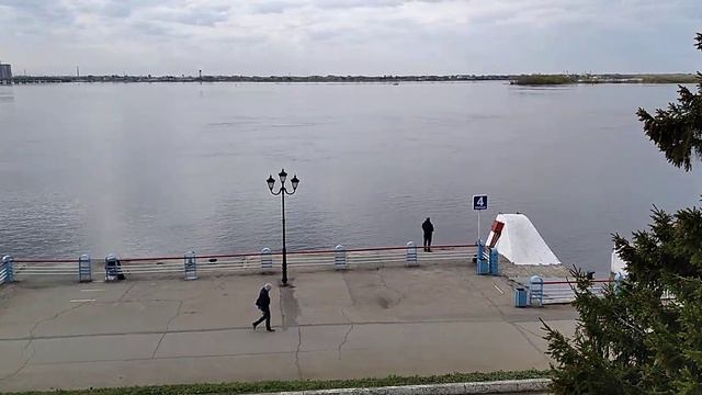 Саратовская Набережная. Мужчина гуляет с собачкой 7. 05. 2021 смотреть онлайн