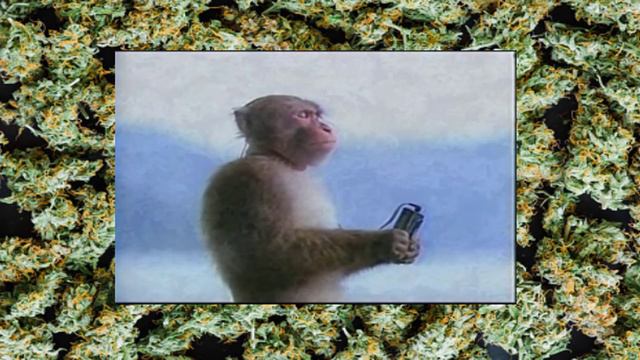 Han$ThaCreep - Blunt [ Phonk Brazil ] смотреть онлайн