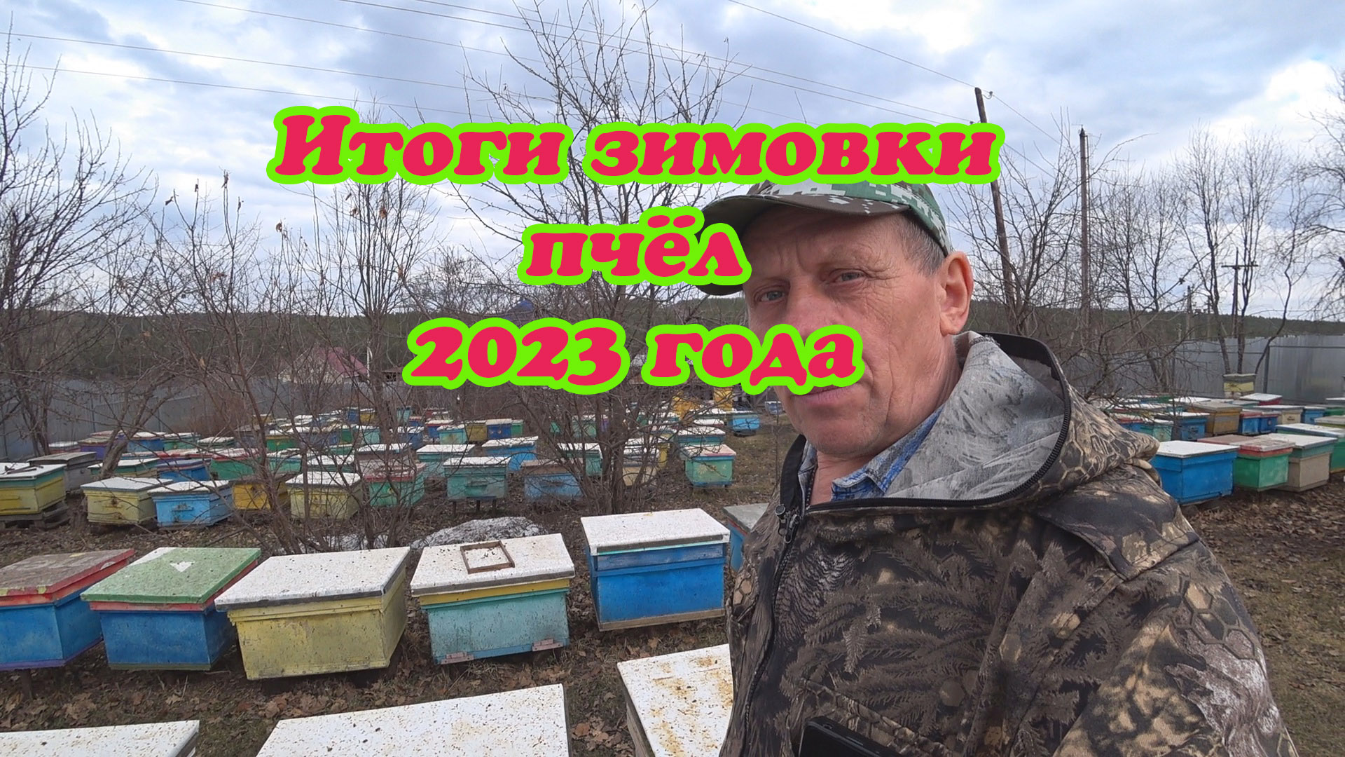 ИТОГИ ЗИМОВКИ ПЧЁЛ, ПРОДЕЛАННЫЕ РАННЕВЕСЕННИЕ РАБОТЫ С ПЧЁЛАМИ, ПРИНОС ПЫЛЬЦЫ, КОММЕНТАРИИ. смотреть онлайн