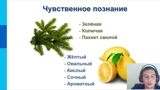 Способы познания окружающего мира смотреть онлайн