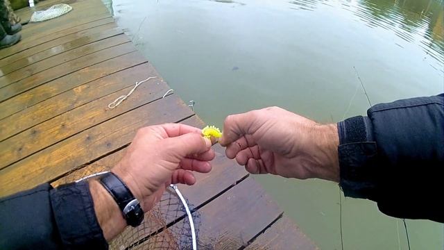 "Усадьба Соколово". Видео зарисовки. Платная рыбалка 03.11.2018 г. смотреть онлайн