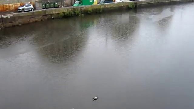 Рижский базар всем базарам базар смотреть онлайн