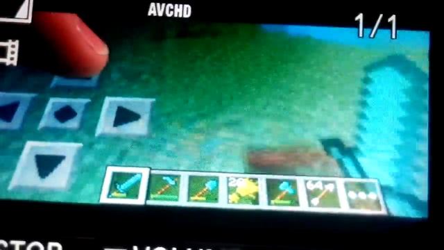 Саженец дуба смотреть онлайн