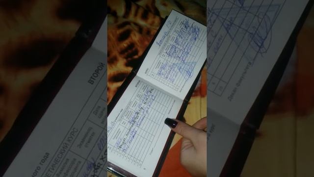 Что учат инженеры бакалавры в вузе. Предметы смотреть онлайн