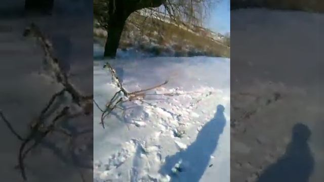 ЛЁД АСФАЛЬТ ПОДКУРИВАЕМ ОТ АСФАЛЬТА смотреть онлайн