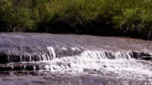 Австралия - страна кенгуру. Голубые горы (документальный фильм, 2023)