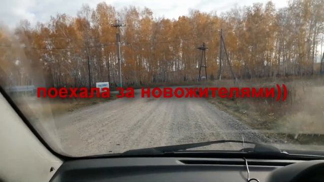 Покупаю кур несушек Доминант.Обработка курятника. смотреть онлайн