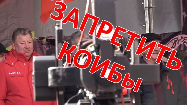 ЗАПРЕТИТЬ КОИБы смотреть онлайн