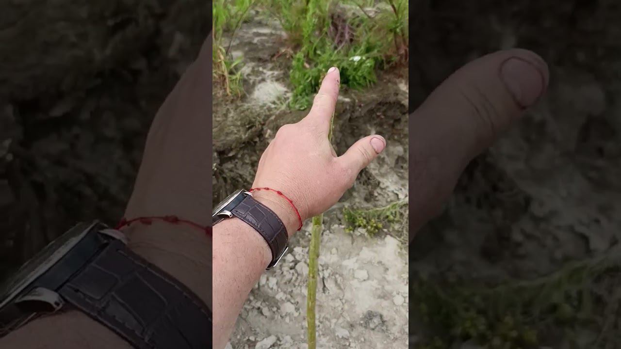 Бюджетный штатив для рыбалки смотреть онлайн