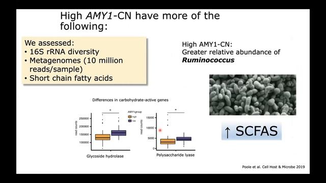 Microbiome Seminar: Ruth Ley, PhD, Max Planck Inst. | Association Of Gut Microbiota With Human Host