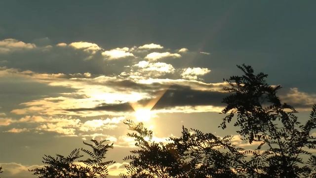 Ловля сазанов. Моя рыбалка №5. Октябрь 2016 г.