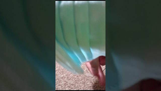 VID-20230930-WA0023 смотреть онлайн