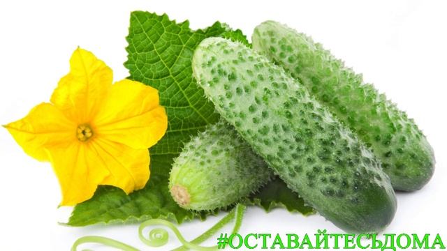 Фруктово-овощной тест смотреть онлайн