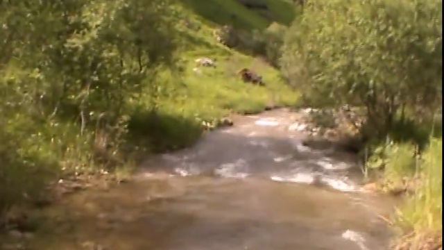 КИСЛОВОДСК --- прогулка по Берёзовой балке смотреть онлайн