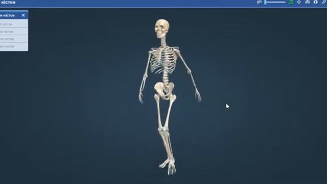 9 вересня. Луїджі Гальвані