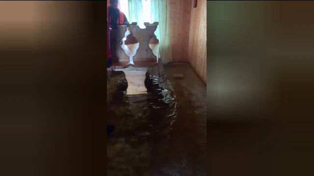 озеро Воже. Небывалое наводнение, Дома затопило, некоторые дома снесло. смотреть онлайн