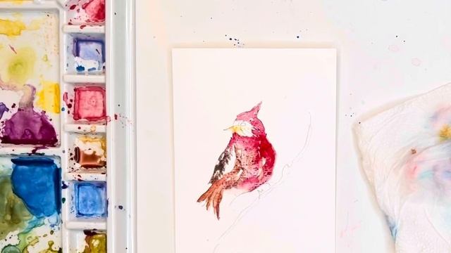 Holidays Are Here! A Beautiful Red Winter Bird, for all my Beautiful Beginners смотреть онлайн