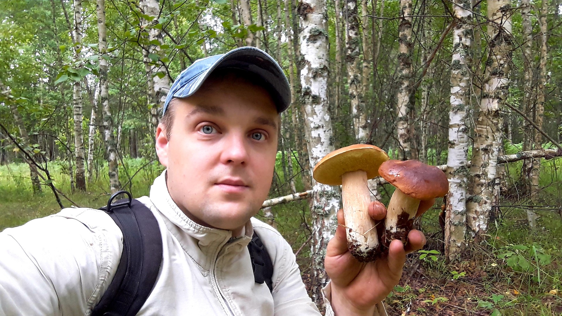 Белые грибы и Осенние опята смотреть онлайн