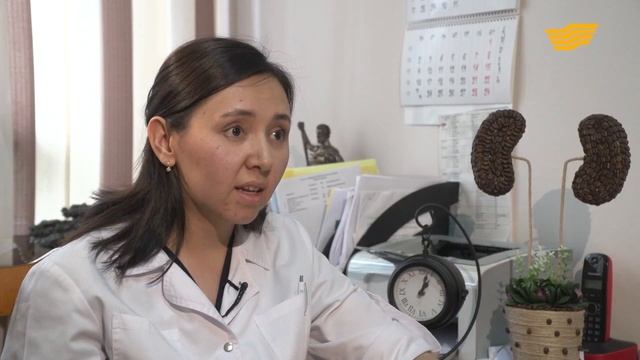 Почечная недостаточность: причины возникновения и методы лечения смотреть онлайн