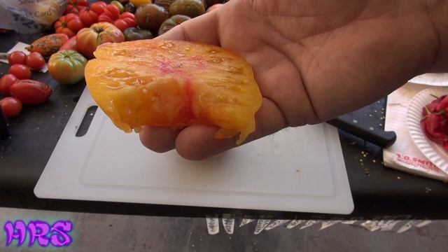 ⟹ Big Rainbow Tomato | Solanum lycopersicum | Tomato Review смотреть онлайн