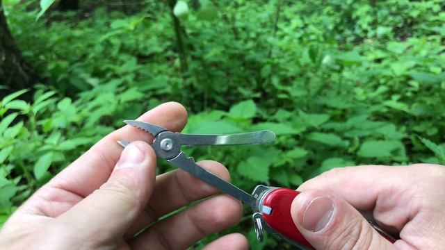 Victorinox SwissChamp через 5 лет (обзор).
