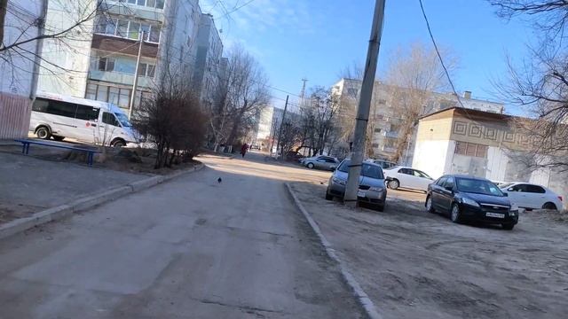 Мой день 8 марта Неожиданный подарок Грузинское кафе Танцы шманцы смотреть онлайн