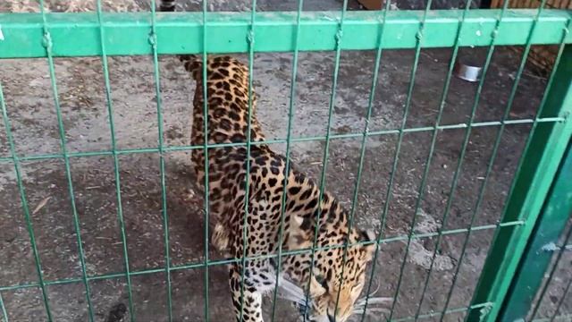 Евишна?❤❤❤ смотреть онлайн