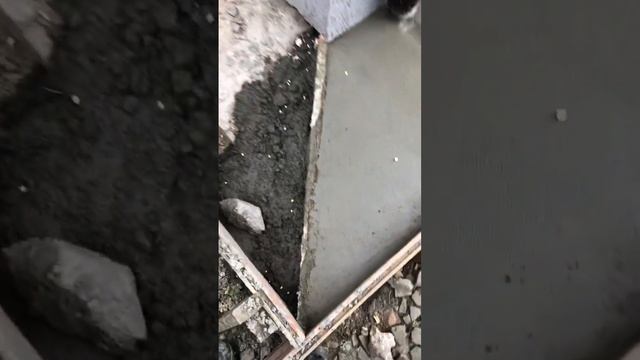 Демпфер спасет мир #демпфер #отмостка #бетон #строительство #ремонт #стройка #работа