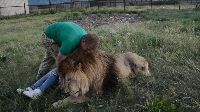 Тайган смотреть онлайн