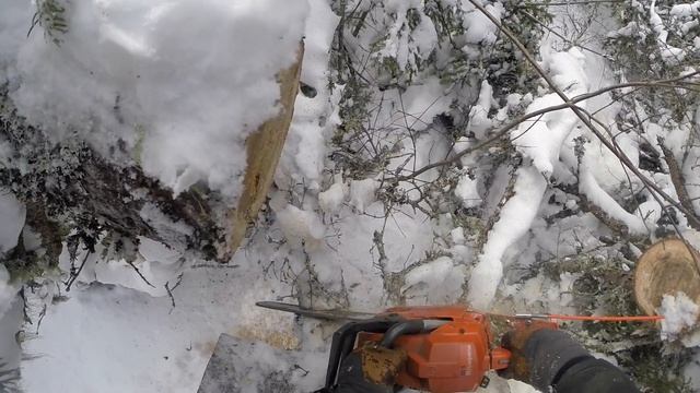 MIGHTY 300 HONDA SKIDDING LOGS смотреть онлайн