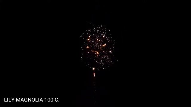 LILY MAGNOLIA 100 colpi смотреть онлайн