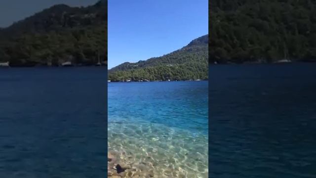 #Sarsala koyu смотреть онлайн