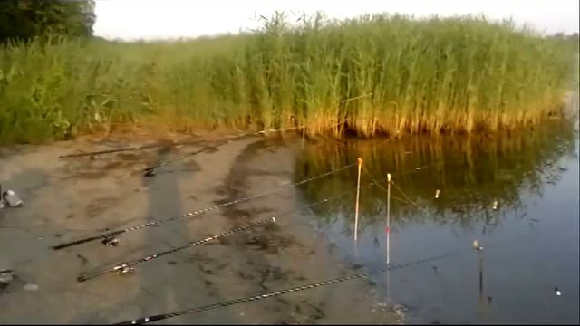 Рыбалка это хорошо смотреть онлайн