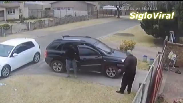 Doberman defiende a su dueño de ladrones смотреть онлайн