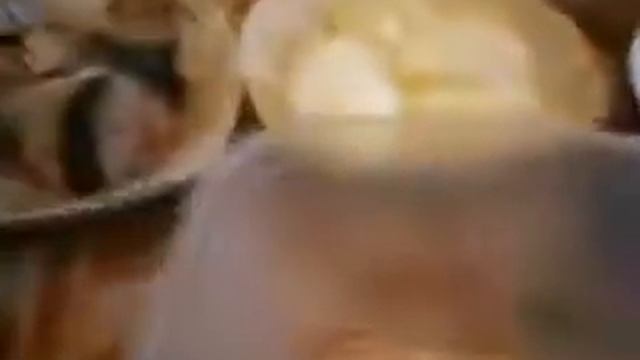 ОБАЛДЕННАЯ СКУМБРИЯ ПО - ЛИТОВСКИ В ПИКАНТНОМ МАРИНАДЕ. смотреть онлайн
