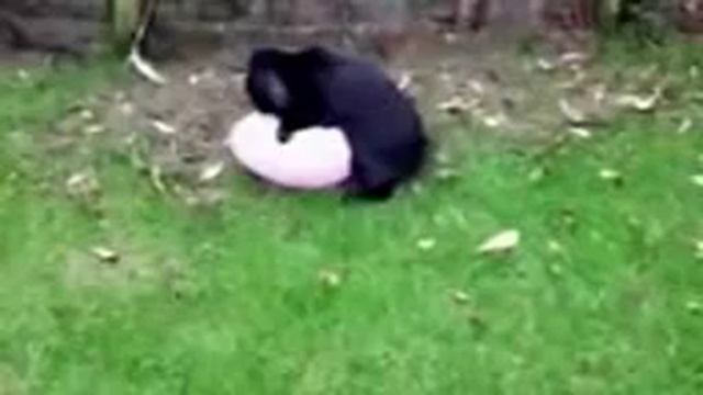 Neudachnyi seks смотреть онлайн