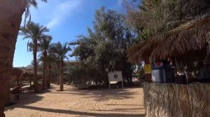 10 лучших отелей Хургады по соотношению цена/качество