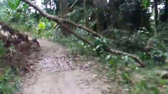 Квадроцикл на прокат на острове Ко Тао смотреть онлайн