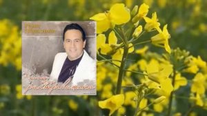 Ренат Ибрагимов - Что так сердце растревожено
