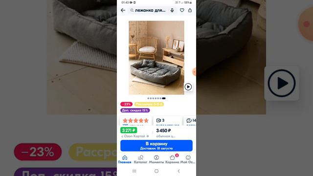 Всё что нужно для ротвельлера. смотреть онлайн