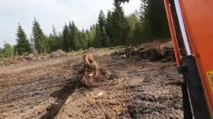 Корчевание пней экскаватором