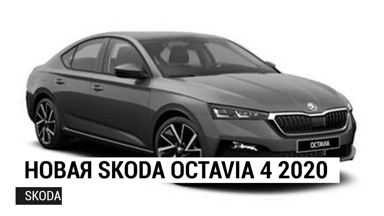 Новая Skoda Octavia 4 2019 смотреть онлайн
