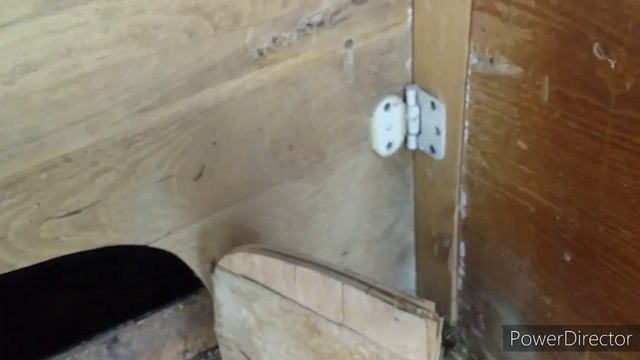 #влог//Куры Леггорн//Лучшая Несушка//Цыплята Леггорн//Жизнь на Кубани! смотреть онлайн