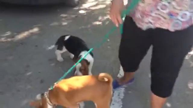 video 2016 09 13 00 36 37 смотреть онлайн