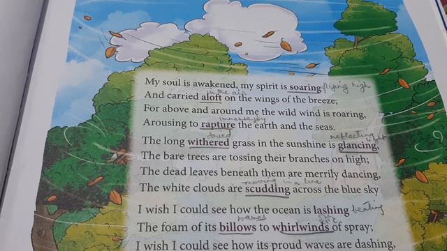 English Literature|| Class -5 || Poem In a wood on a windy day || Part 1 смотреть онлайн