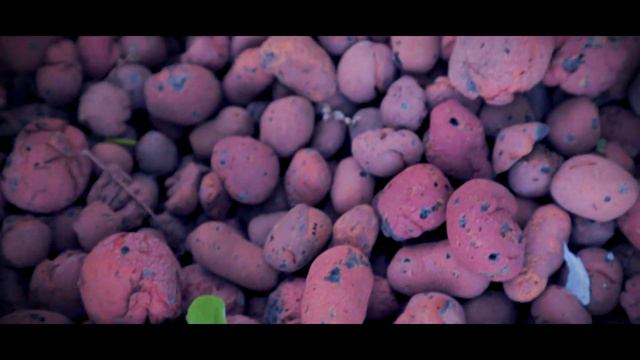 Набережная Уфы после реконструкции смотреть онлайн